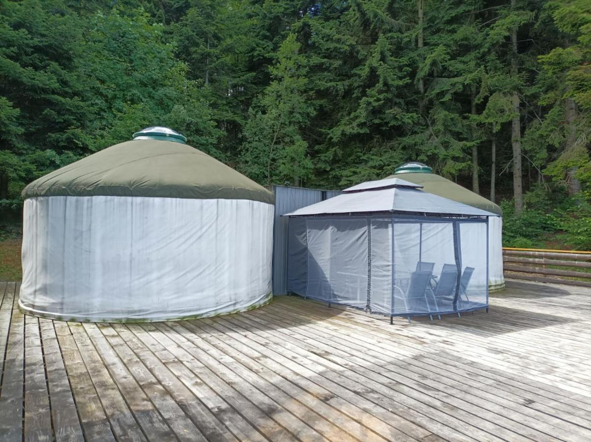 Jezowa Woda Osrodek Wypoczynkowy Palmiarnia I Spa Przyszowa  エクステリア 写真