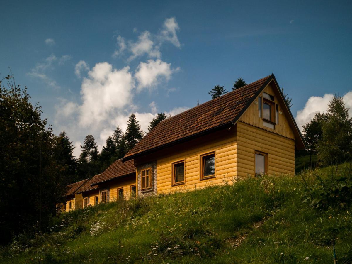 Jezowa Woda Osrodek Wypoczynkowy Palmiarnia I Spa Przyszowa  エクステリア 写真