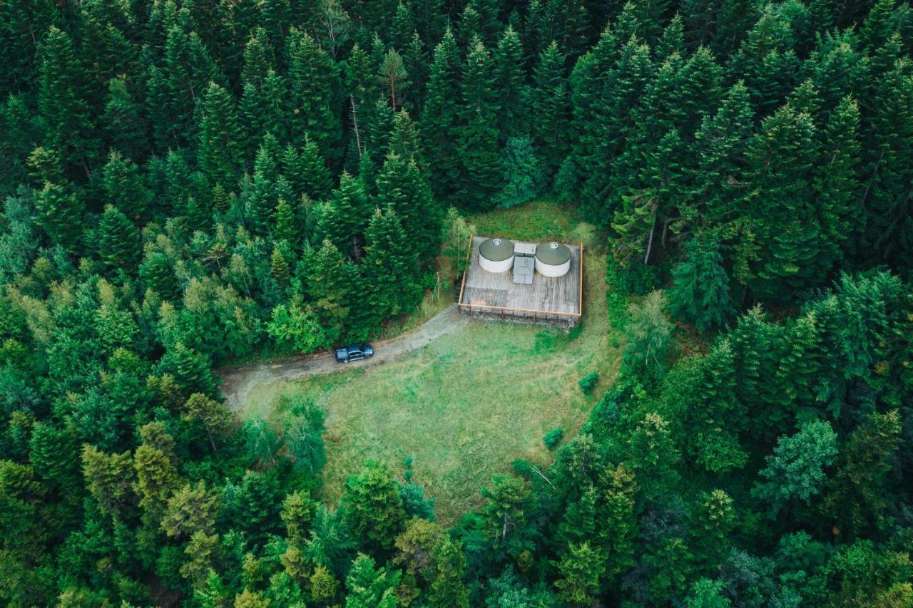 Jezowa Woda Osrodek Wypoczynkowy Palmiarnia I Spa Przyszowa  エクステリア 写真